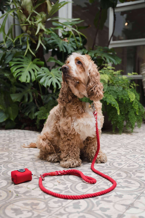 Doodle Couture - The Natural Rope Dog Leash Red